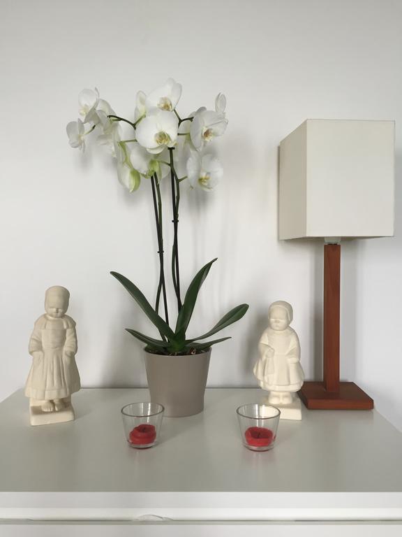 Appartement Design I - Port Du Rosmeur - 두아르느네 외부 사진